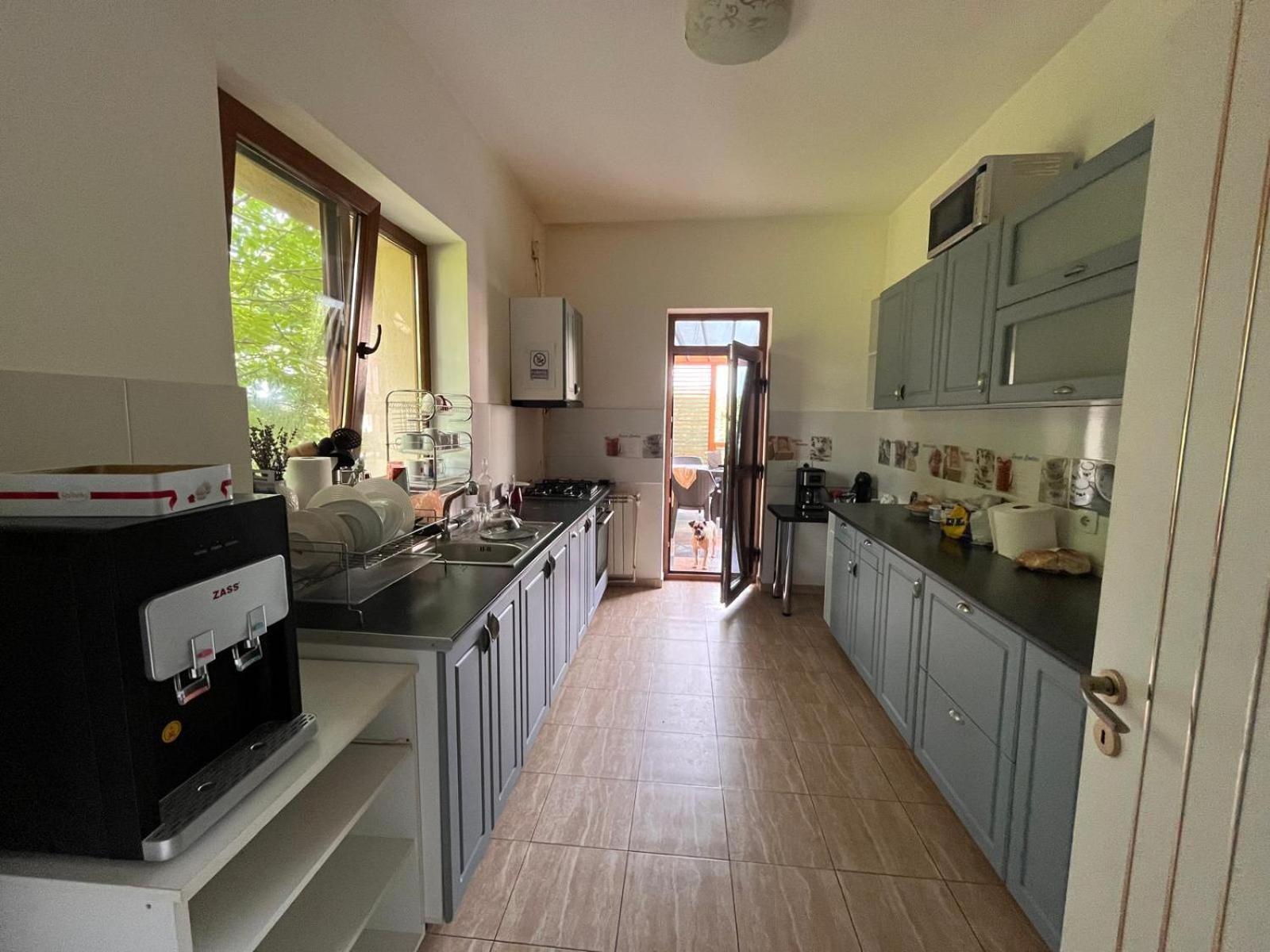 Pensiunea Casa Copou Iasi Exterior foto